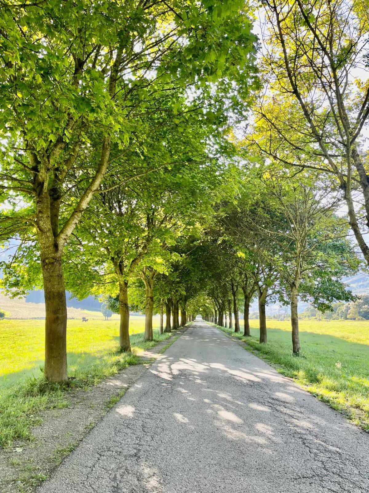 Panorama Apartments Semslach Obervellach Buitenkant foto
